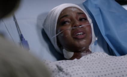 Grey's Anatomy Round Table: Bittersweet Farewells and New Beginnings