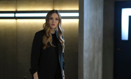 Dr. Caitlin Snow/Killer Frost Photos - TV Fanatic