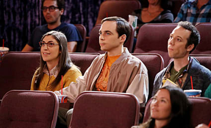 The Big Bang Theory Review: Homeostasis For Now