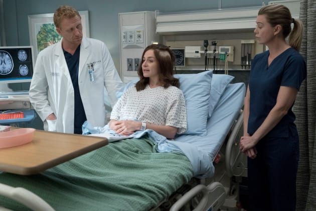 Amelia's People - Grey's Anatomy Season 14 Episode 4