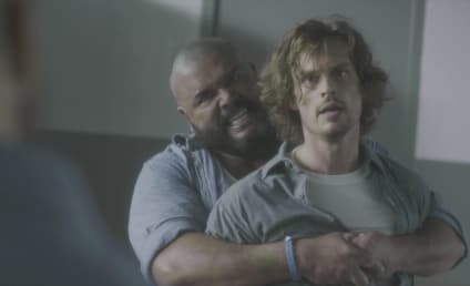 Criminal Minds Season 12 Episode 17 Review: In the Dark