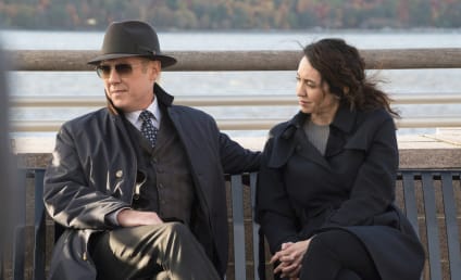 The Blacklist Season 3 Episode 9 Review: The Director