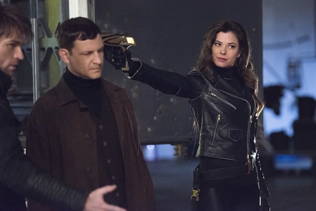 Fly in the Ointment - The Flash Season 1 Episode 22