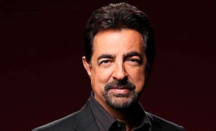 Criminal Minds Exclusive: Joe Mantegna on The Replicator, Rossi's Love LIfe and More