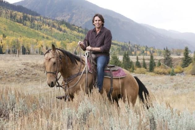 No Horsing Around