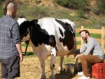 Mike and the Cow - The Last Man on Earth Season 2 Episode 17