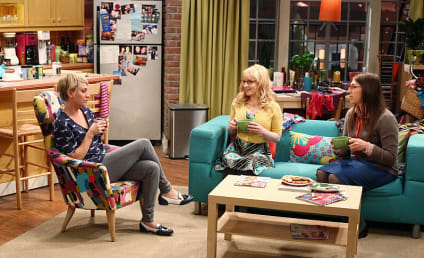 The Big Bang Theory Season 8 Episode 7 Review: The Misinterpretation Agitation