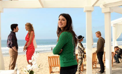 90210 Review: The One That Could Have Been