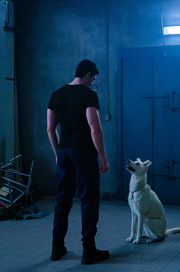 Superboy and Krypto - Titans Season 2 Episode 6