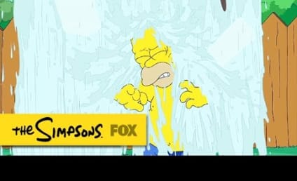 Homer Simpson Takes Ice Bucket Challenge: VIDEO