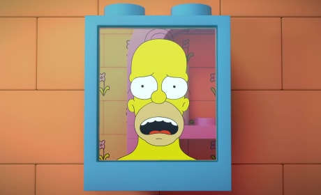 The simpsons brick outlet like me full episode