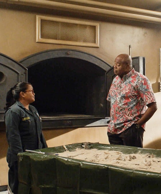 Not Much to Go On - Hawaii Five-0 Season 9 Episode 21