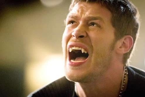 Klaus Cries Out Tv Fanatic This video is maybe a bit dramatic but i needed it. klaus cries out tv fanatic