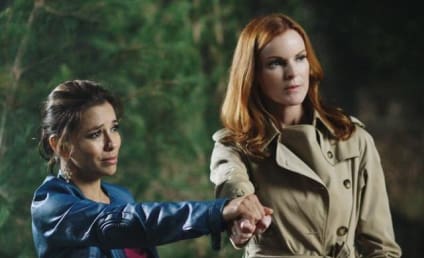 Desperate Housewives Review: "Secrets That I Never Want to Know"