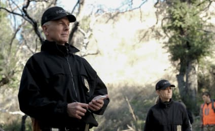 NCIS Season 18: Mark Harmon Says Shortened Season Was a 'Shock'