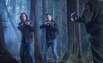 Supernatural Season 14 Episode 16 Review: Don't Go Into the Woods