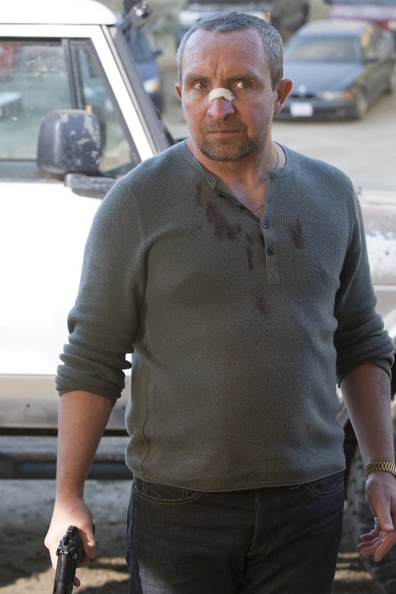 Ray sales donovan putlocker