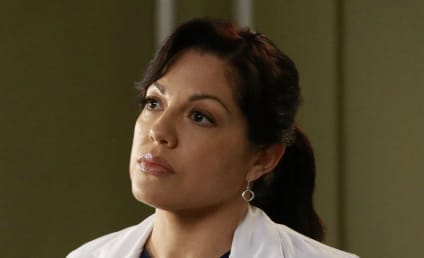 Grey's Anatomy: Did CBS Shut Down Sara Ramirez Return?