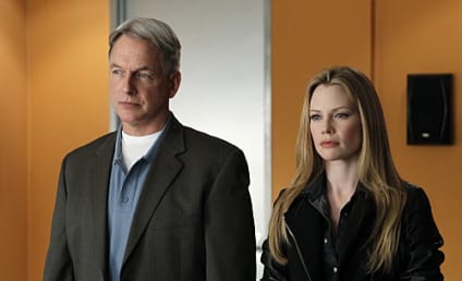 NCIS Review: Don't Mess With the Great White!