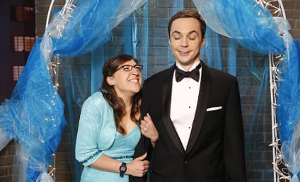 The Big Bang Theory Season 8 Episode 8 Review: The Prom Equivalency