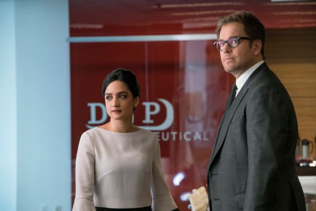 Archie Panjabi as Arti Cander - Bull