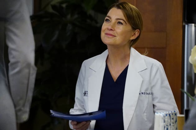 Peak Professionalism - Grey's Anatomy Season 13 Episode 15