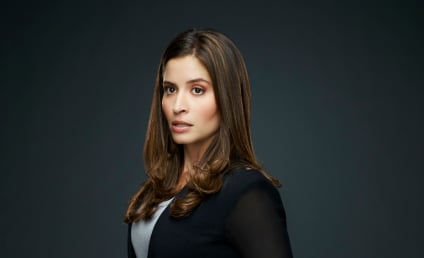 Mercedes MasÃ¶hn to Guest Star on Californication