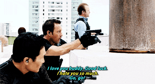 Steve and Danny - Hawaii Five-0