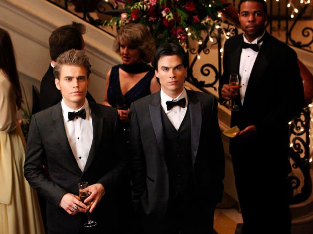 Fancy Siblings
