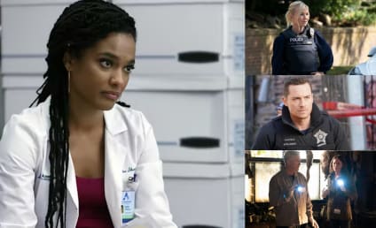 Fall TV's Biggest Cast Shakeups: New Amsterdam, Law & Order: SVU, & More 