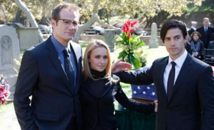 Heroes to Actually Be Revived by MSN?!?