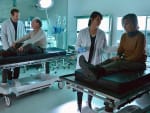 The McGeevers as Lab Rats - The Strain