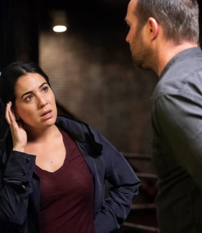 Blindspot Season 5 Episode 3 Review Existential Ennui TV Fanatic