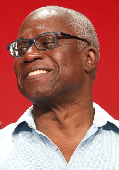 Actor Andre Braugher of the television show 