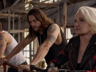 Watch animal kingdom top season 4 online