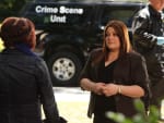 A Possible Teen Murder