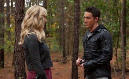 The Vampire Diaries Spoilers: Many More Werewolves to Come!
