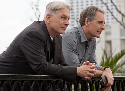 Ncis Season 11 Episode 18 Tv Fanatic The foreboding title cancel christmas, hints that not everyone is having a merry season, least of all a man who gets run over by a truck carrying christmas trees. ncis season 11 episode 18 tv fanatic