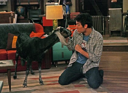 How i met your hotsell mother season 4 online