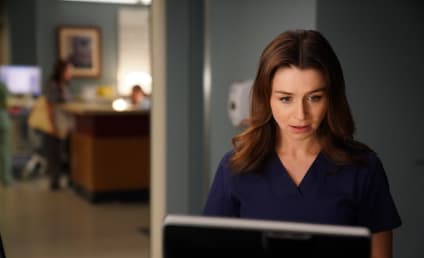 Grey's Anatomy Season Premiere Review: Basics and Bombshells