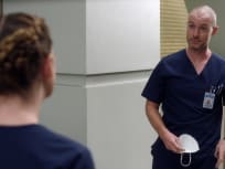 Putlocker greys top anatomy season 17