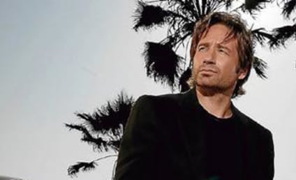 More on Rick Springfield's Role on Californication