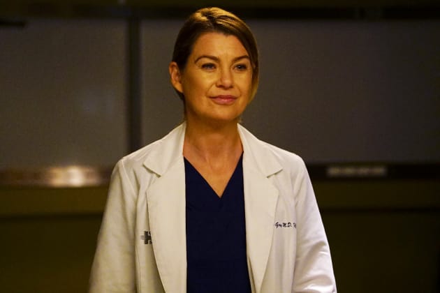 Happy Mer - Grey's Anatomy Season 13 Episode 23