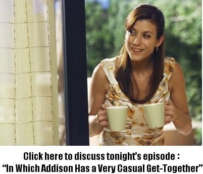 Discuss In Which Addison Has A Very Casual Get Together In Our