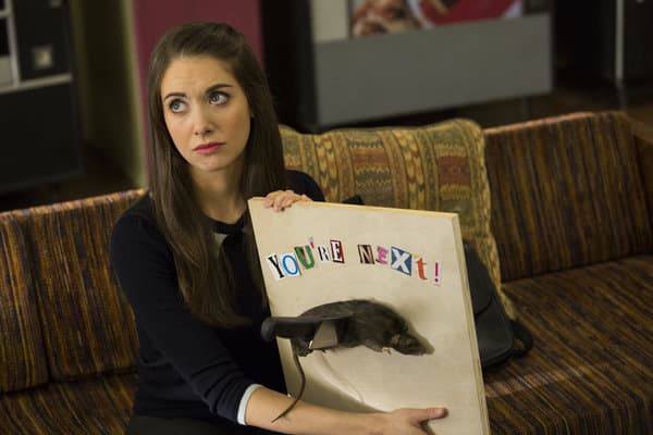 A Stabbed Rat