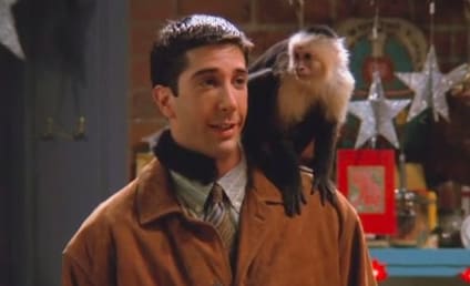 27 Most Precious Pets in TV History