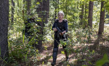 Watch The Walking Dead Online: Season 8 Episode 14