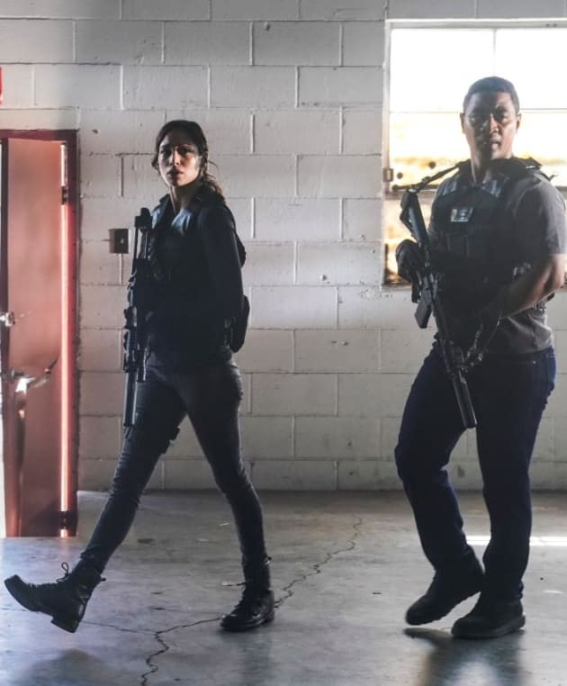 Finding Nothing - Hawaii Five-0 Season 10 Episode 11