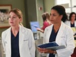 Sisters at Work - Grey's Anatomy