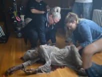 Dead At a Bus Stop - Coroner